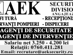 Aek Security Division, agentie de securitate